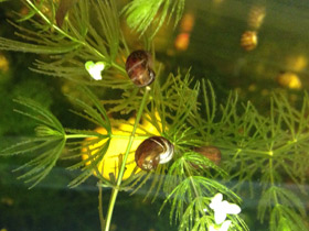 Смотреть фото Катушки Фото Катушки