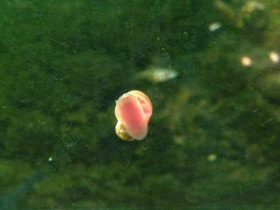 Смотреть фото Катушки Фото Катушки