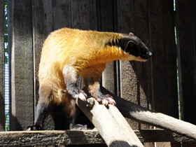 Смотреть фото Харза Фото Харза