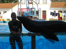 Смотреть фото Калифорнийский морской лев Фото Калифорнийский морской лев