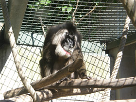 Смотреть фото Дрил Фото Дрил