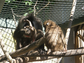 Смотреть фото Дрил Фото Дрил