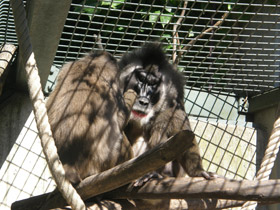 Смотреть фото Дрил Фото Дрил