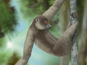 Смотреть фото Колоссальный палеопропитек Фото Колоссальный палеопропитек