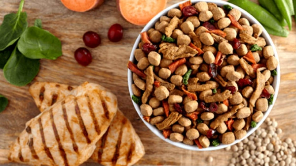 Можно ли совмещать сухой корм для собак и натуральную пищу