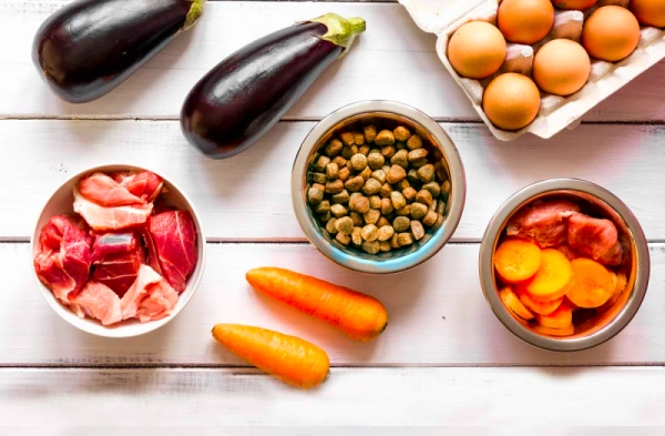 Можно ли совмещать сухой корм для собак и натуральную пищу