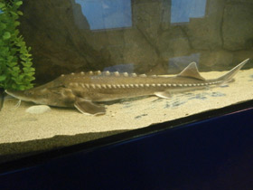 Смотреть фото Калуга Фото Калуга