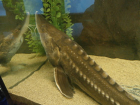 Смотреть фото Калуга Фото Калуга