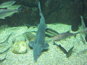 Смотреть фото Калуга Фото Калуга